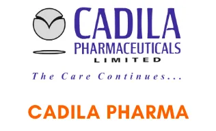 Company Logo 7